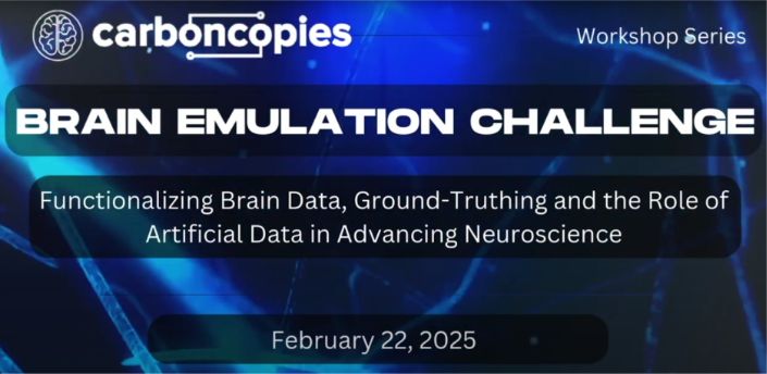 Brain Emulation Challenge workshop