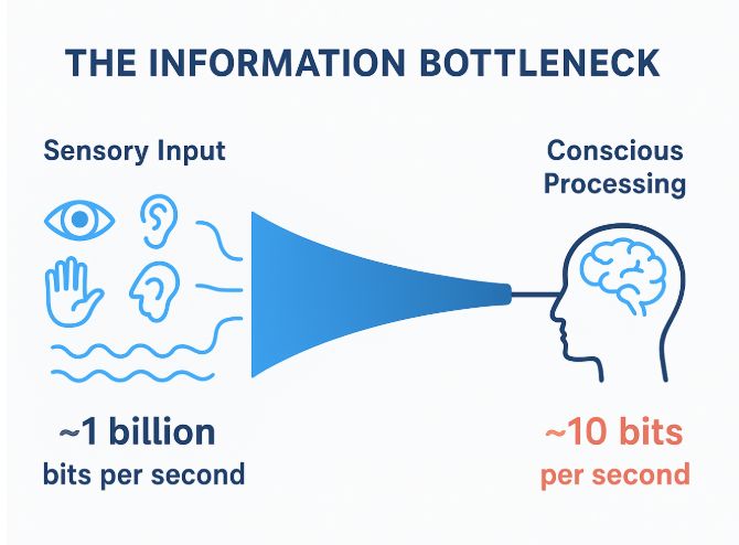 Information bottleneck