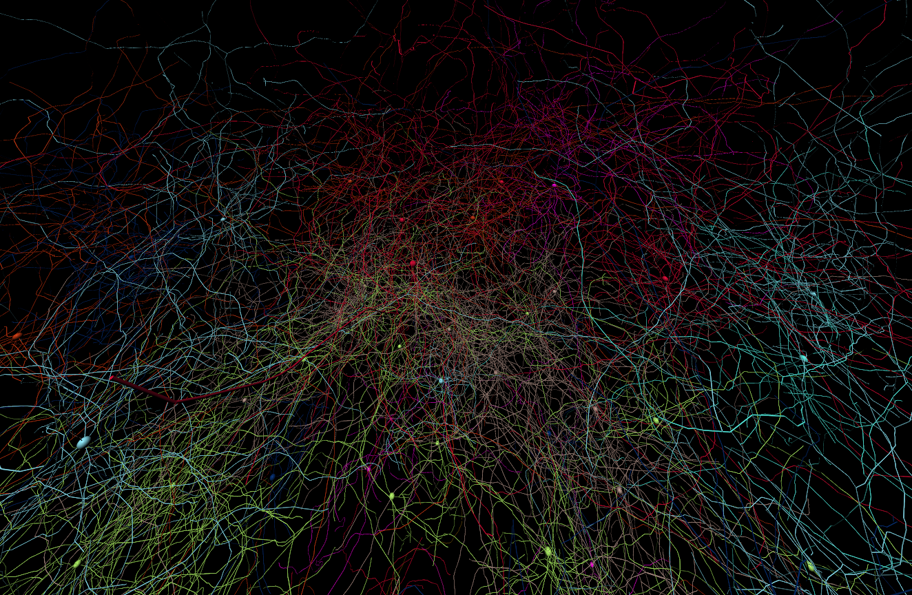 Example Visualizer Output