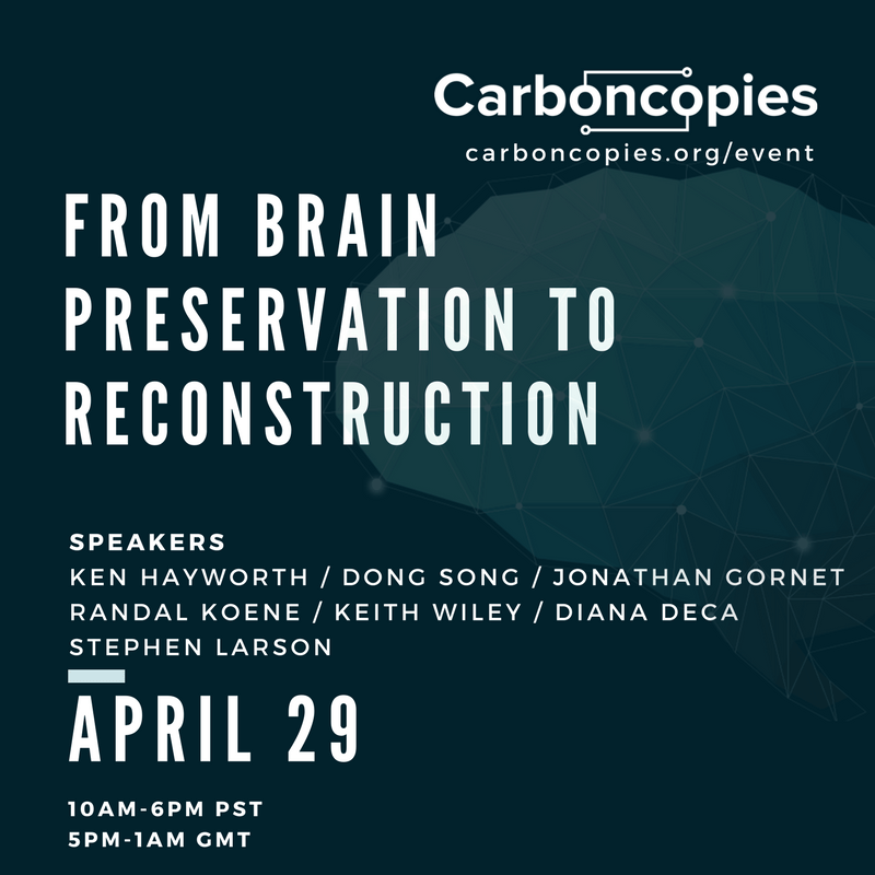 Brain Preservation to Reconstruction